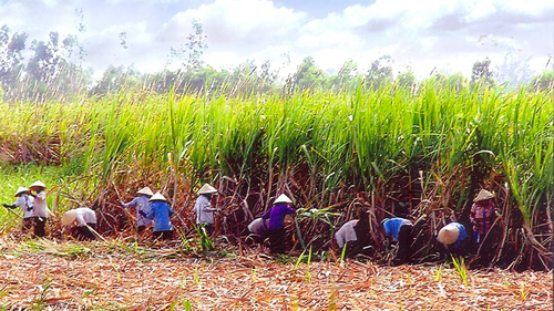 สรุป 10 ปีปฏิบัติมติของคณะกรรมการกลางพรรคครั้งที่ 5 เกี่ยวกับเศรษฐกิจส่วนรวม